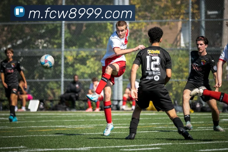 App Interface Preview